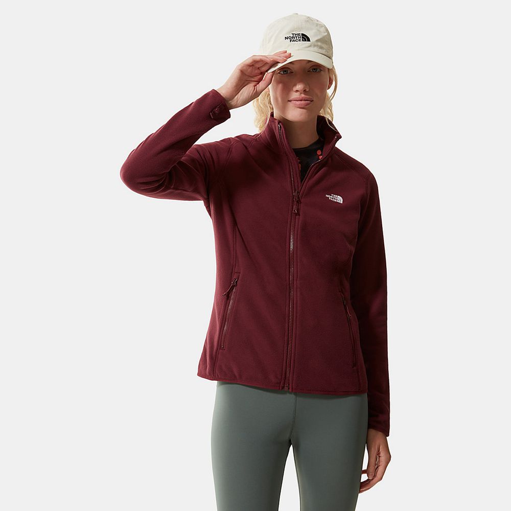 The North Face Fleece Womens Australia - The North Face 100 Glacier Full-Zip Red Skiing And Snowboar